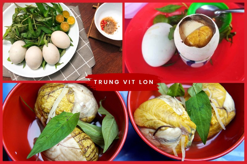 Trung vit lon Vietnam